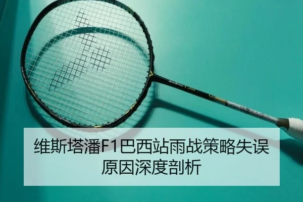 维斯塔潘F1巴西站雨战策略失误原因深度剖析