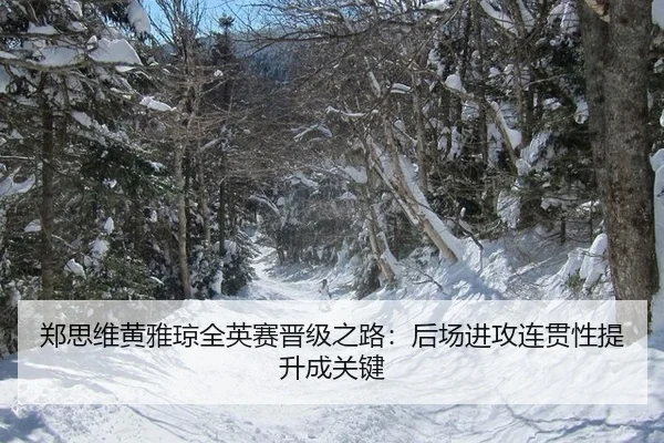zheng-si-wei-huang-ya-qiong-quan-ying-sai-jin-ji-zhi-lu-hou-chang-jin-gong-lian-guan-xing-ti-sheng-cheng-guan-jian-2-155.jpg