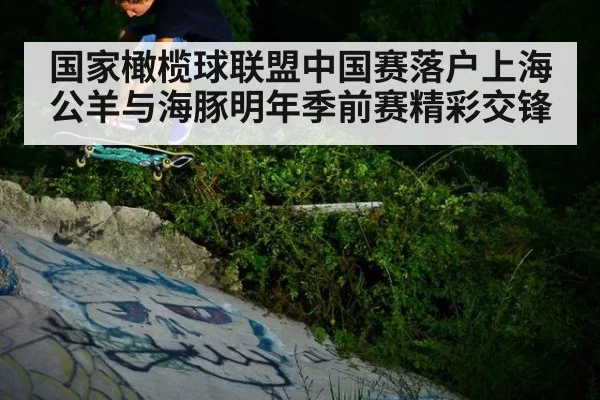 国家橄榄球联盟中国赛落户上海 公羊与海豚明年季前赛精彩交锋