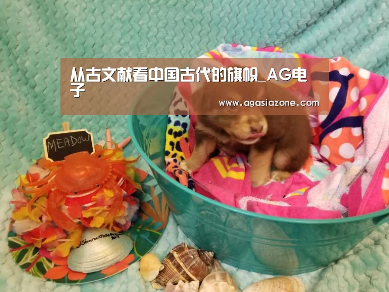 AG竞猜