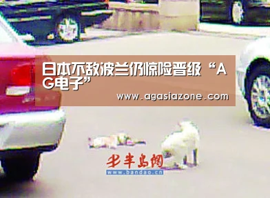 日本不敌波兰仍惊险晋级“AG电子”(图3) AG竞猜